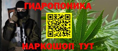 кокс Гай