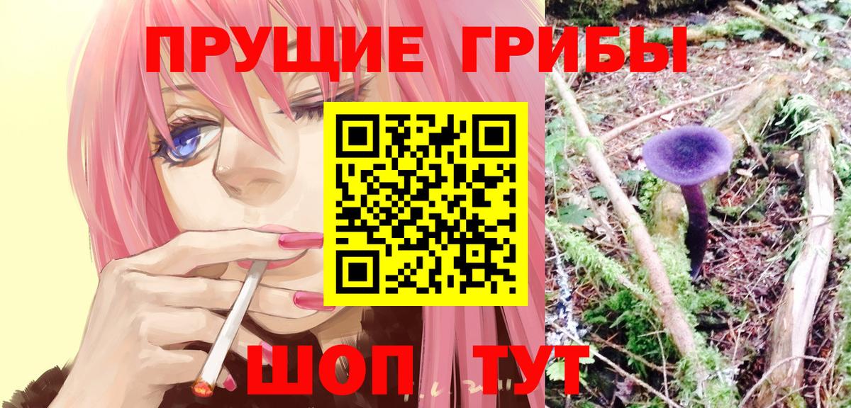 Псилоцибиновые грибы Psilocybine cubensis Кольчугино