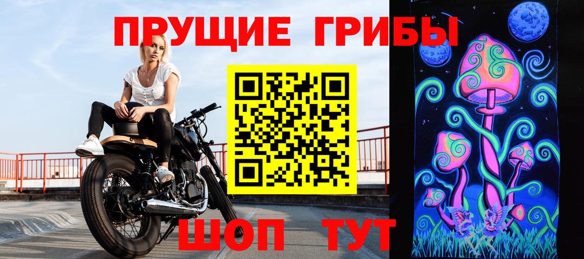 Кольчугино  Галлюциногенные грибы Magic Shrooms  Вход с VPN 